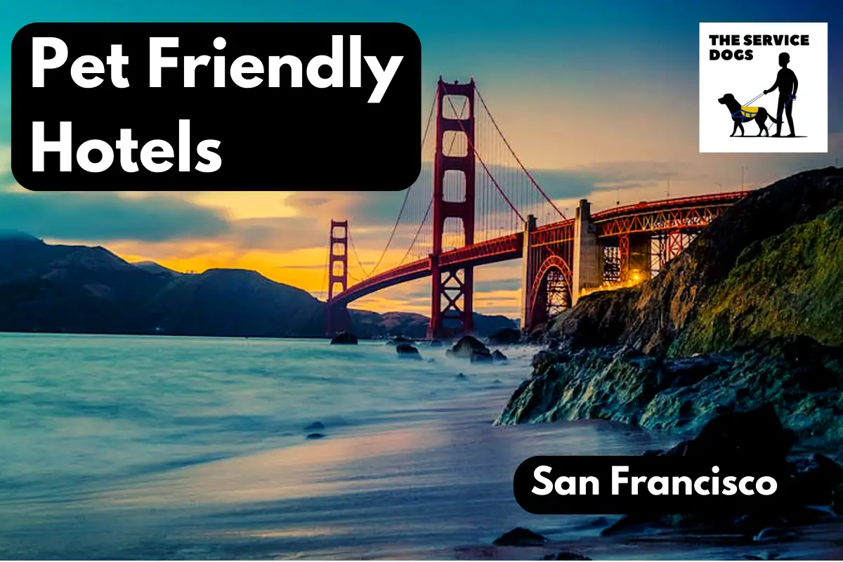 Pet Friendly Hotels in San Francisco - Options & SF FAQs