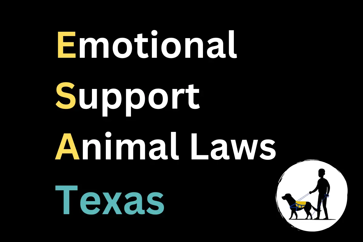 Emotional Support Animal Laws Texas & FAQs [2023]