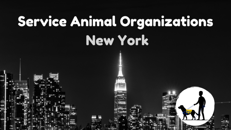 service animal organizations new York