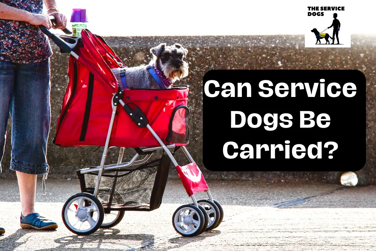 can service dogs be carried in a stroller