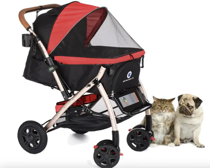 Can Service Dogs Be Carried? Simple Strollers, Bags [2023]