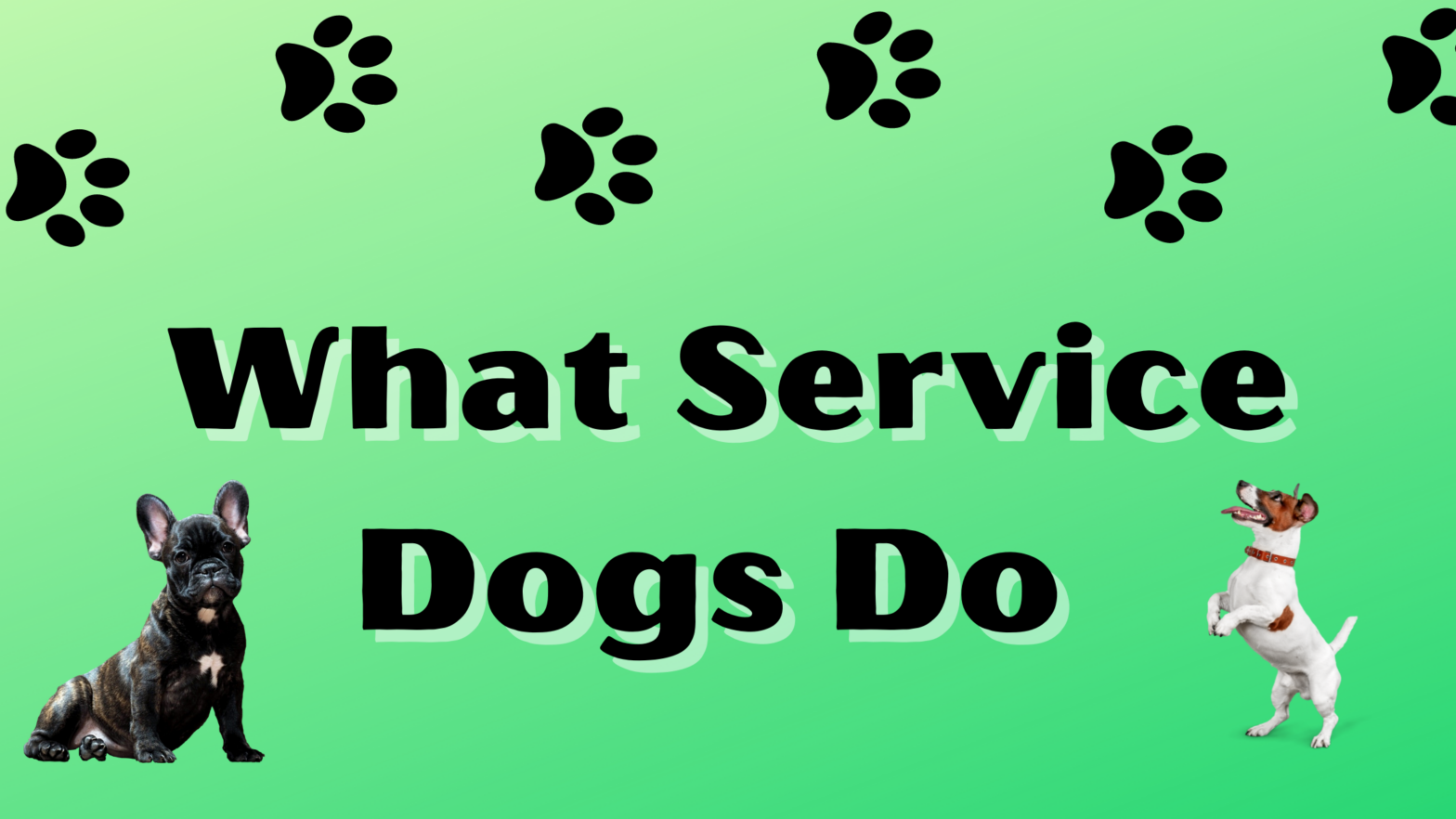 What Service Dogs Do - Examples of SD Work or Tasks