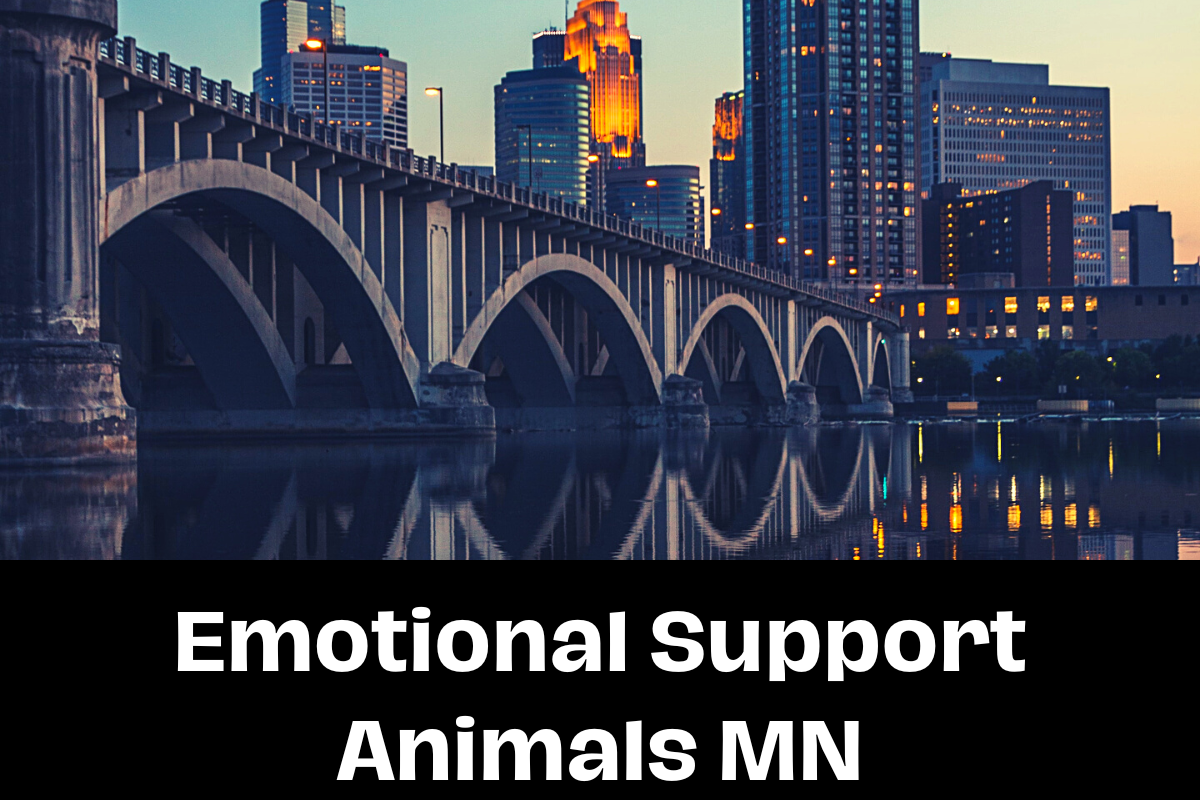 Emotional Support Animals MN