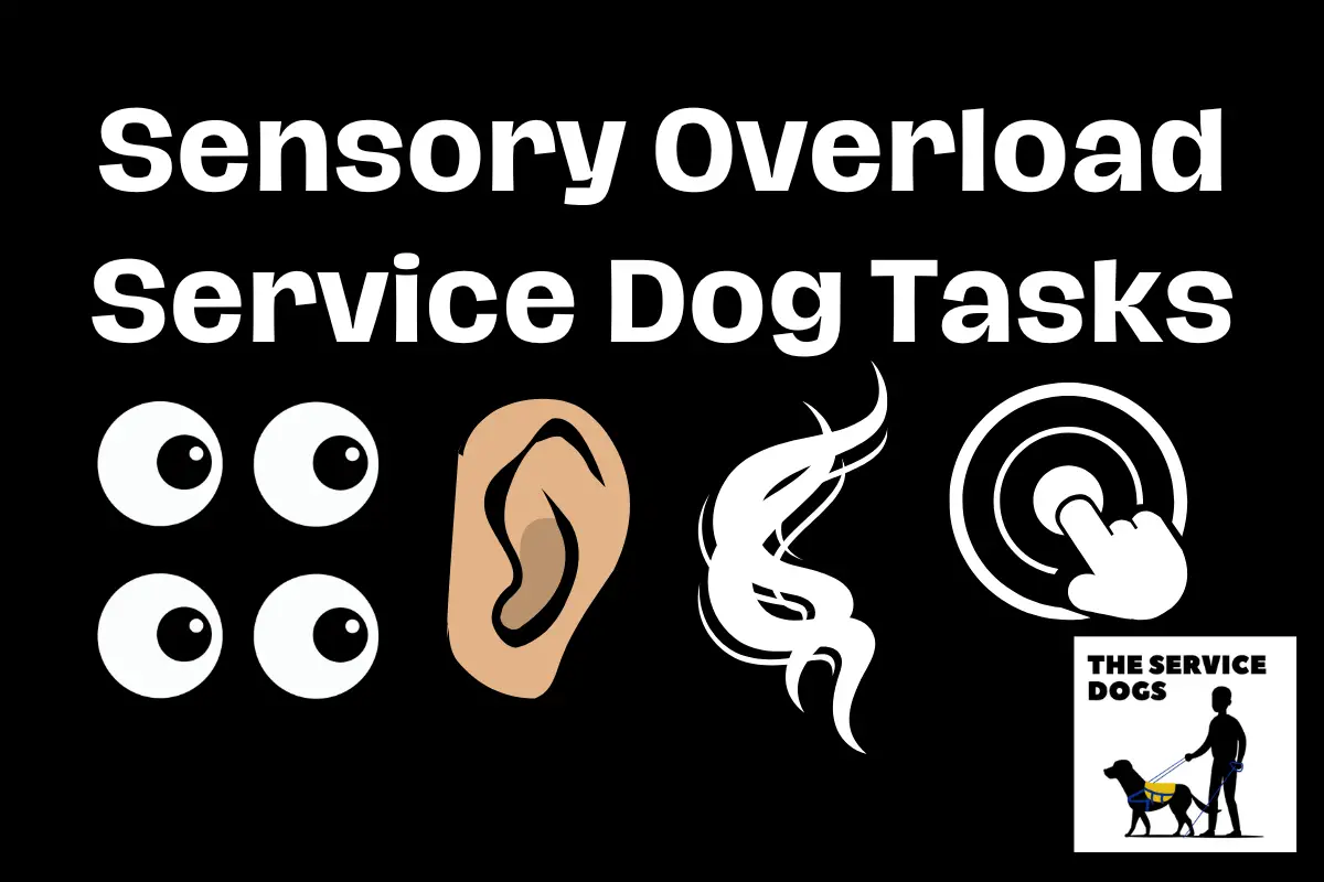 service dog tasks for sensory overload