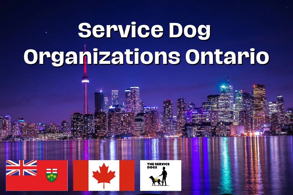 service dog Organizations Ontario