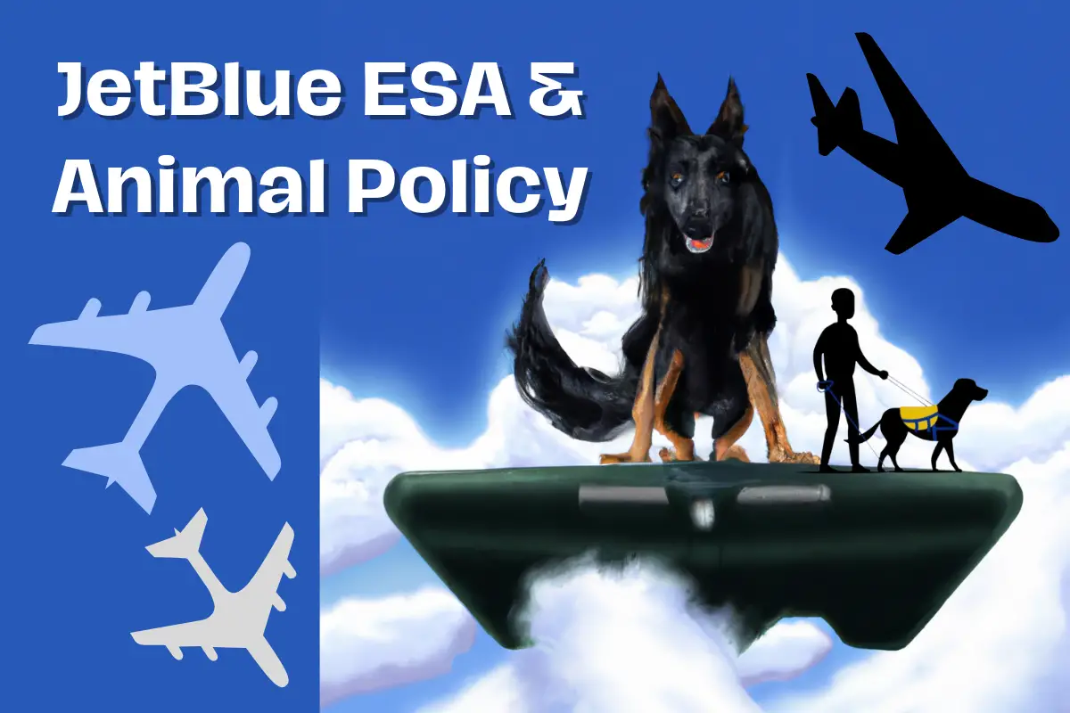 JetBlue Emotional Support Animal (ESA) Rules & Animal Policy