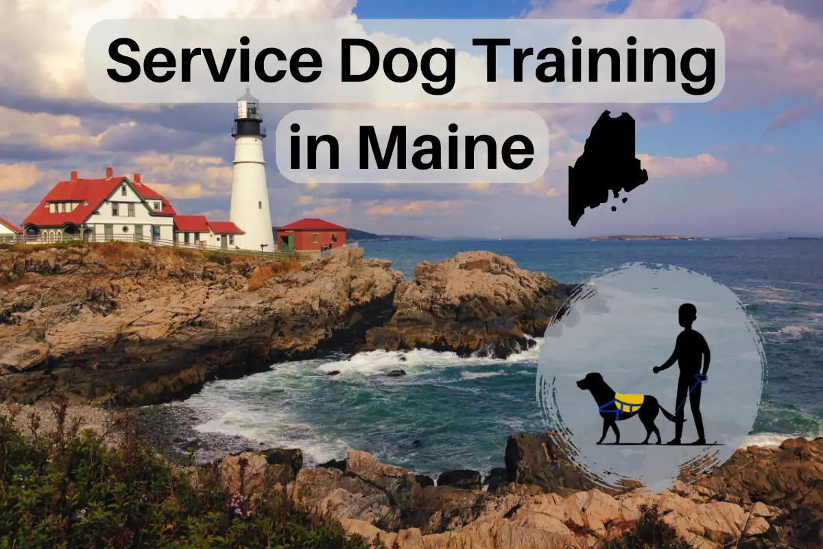 service dog training in Maine