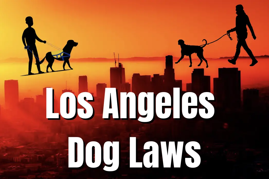 Los Angeles dog laws