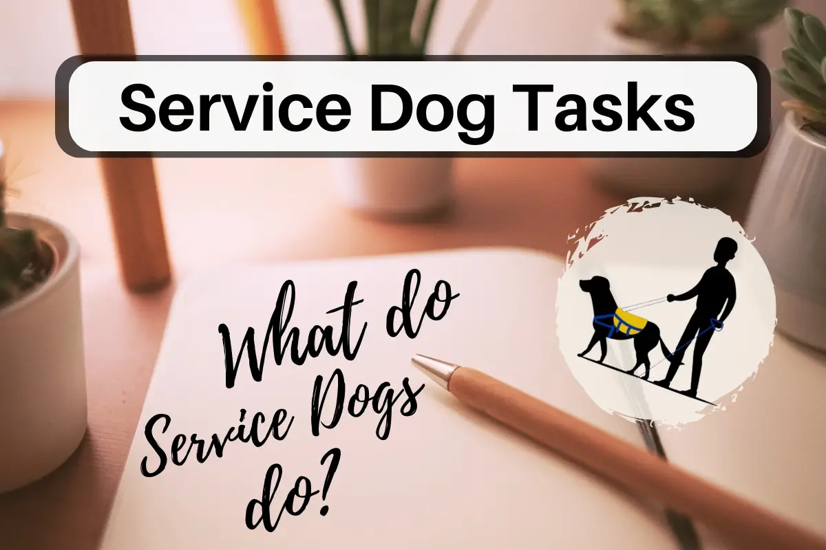 what do service dogs do