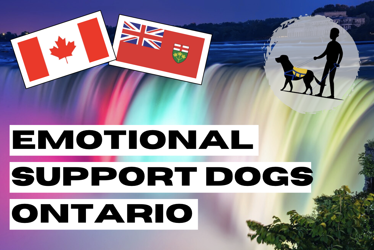 emotional support dogs Ontario