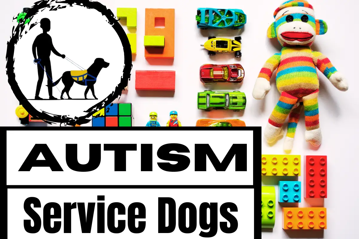 autism service dogs
