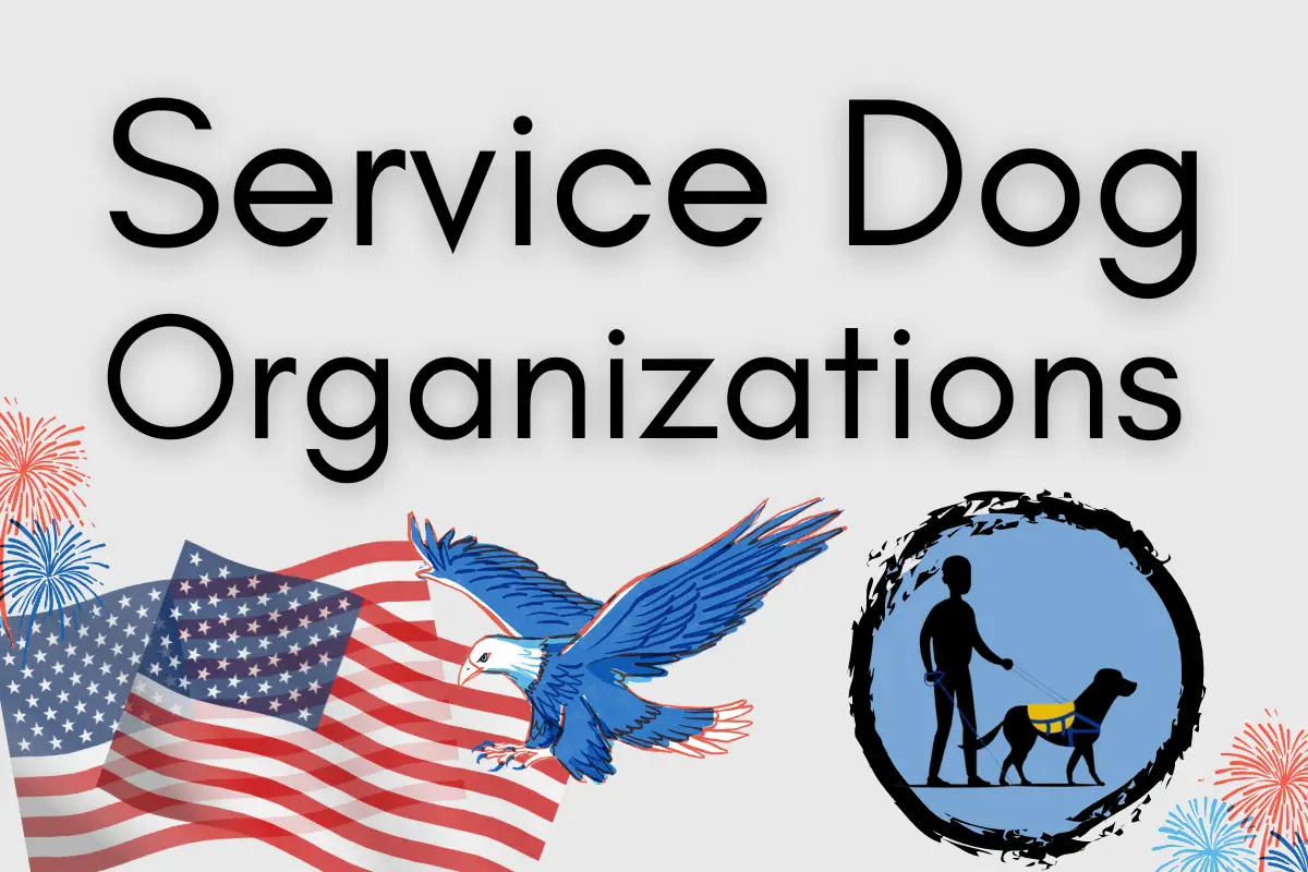 service dog organizations